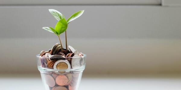 Revenue & Growth image