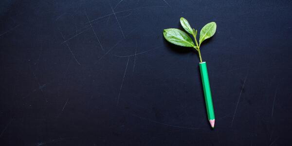 Learning & Development image